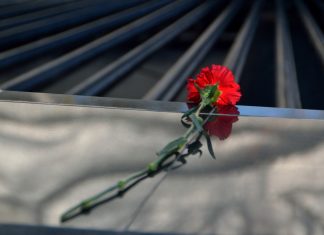 Найденные в Ростовской области останки советских солдат перезахоронят в преддверии Дня Победы