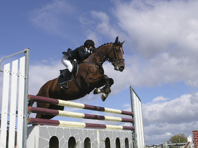 jumping-horse