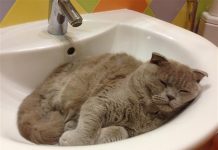 В Ворошиловском районе Ростова отключат воду