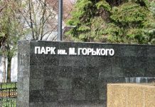 Корейцы разработают систему освещения парка Горького в Ростове