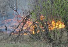 Крупный пожар под Ростовом удалось локализовать