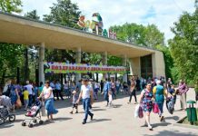 Ростовскому зоопарку на развитие выделят 137 миллионов рублей