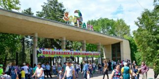 Ростовский зоопарк вошел в топ-5 самых посещаемых мест в городах ЧМ-2018