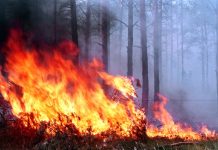 МЧС снова предупреждает о чрезвычайной пожароопасности в Ростове
