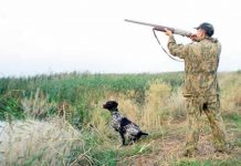 Сезон охоты на Дону объявили открытым