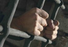 В 2022 году на Дону хотели помиловать рекордное число заключенных