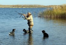 В Ростовской области открылся сезон охоты на водоплавающую дичь