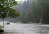 На Дону объявили штормовое предупреждение // Фото с сайта mchs.gov.ru
