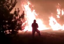 Пожар на Левом берегу Дона не утихает: смог накрыл Ростов и Батайск Пожар // Фото: пресс-служба ГУ МЧС России по Ростовской области