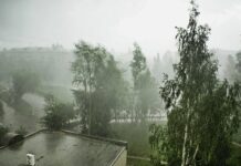 В ГО и ЧС ростовчан предупредили о ливнях и ветре 25 июня
