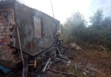 В Ростовской области во время пожара в частном доме погибли трое детей Пожар в частном доме // пресс-службе ГУ МЧС России по Ростовской области