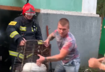 В Ростовском зоопарке удалось локализовать пожар