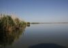 В Красносулинском районе утонул рыбак