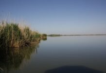 В Красносулинском районе утонул рыбак