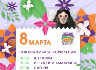 8 марта в Ростовском зоопарке покормят слонов и журавлей