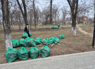 В Ростове во время субботника собрали 300 тонн мусора