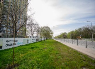ГК «ЮгСтройИнвест» высадила 100 деревьев в областной день древонасаждения