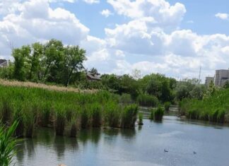 В Ростове от комаров и клещей обрабатывают парки и городские территории