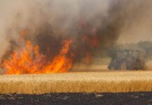 За неделю в Ростовской области произошло 203 пожара Пожар на пшеничном поле //Фото пресс-службы ГУ МЧС России по Ростовской области