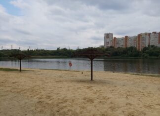 В Ростове произошел замор рыбы из-за сильной жары