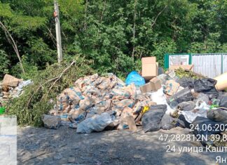 У жителей Дона продолжают возникать связанные с вывозом мусора вопросы Свалка мусора //Фото газеты «Путеводитель по ЖКХ»
