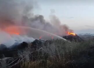 В Азове локализован крупный пожар на площади 5000 кв.метров пожар в Азове // фото: пресс-служба регионального МЧС