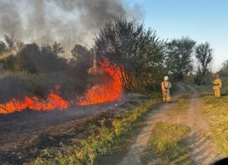 В двух районах Ростовской области ввели режим ЧС спасатели тушат ландшафтный пожар // фото: donland.ru