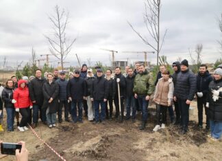 В Новом Ростове заложили парк на 10 га в Новом Ростове заложили новый парк // фото: donland.ru