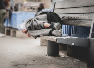 В Новочеркасске «Глория Джинс» построит приют для бездомных