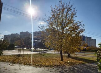 Ростовский гидрометцентр рассказал о погоде в ноябре Осень в Ростове // фото: Ольга Медведева