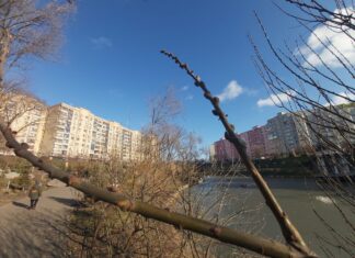В Ростовской области 9 января потеплеет до +14 зима в Ростове // фото: Городской репортер