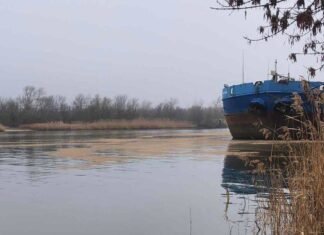 В реке Дон нашли еще одно маслянистое пятно масляное пятно в Аксае // фото: Минприроды Ростовской области