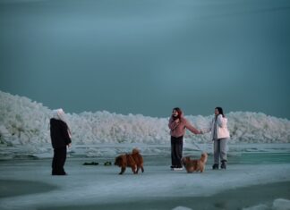 В Ростовской области начался весенний ледоход ледяные торосы в Таганроге // фото: пресс-служба ЮФУ