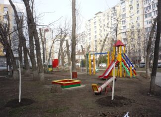 Жители улицы Благодатной просят высадить деревья вместо уничтоженных двор на улице Благодатная // фото: Светлана Силкина
