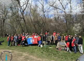 В Ростове почти 2000 человек приняли участие в субботнике экоактивисты убирали лес в Первомайском районе Ростова // фото: rostov-gorod.ru