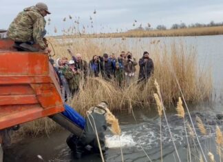 В Веселовское водохранилище выпустили 2,4 тыс. мальков белого амура выпуск мальков белого амура // фото: donland.ru