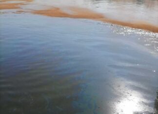 В Дону обнаружены три маслянистых пятна маслянистое пятно в Дону // фото: служба спасения Аксайского района