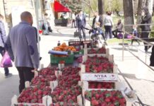 В Таганроге за один рейд оформили 11 протоколов на уличных продавцов точка незаконной торговли в Ростове // фото: donland.ru
