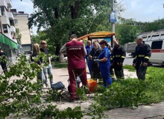 Дерево рухнуло на женщину на остановке в Ростове на женщину упало дерево // фото: Telegram-канал "Тютина"