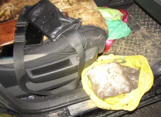 На Дону задержаны организаторы сети тайников с марихуаной задержаны организаторы системы тайников с марихуаной // фото: пресс-служба ГУ МВД Росси по Ростовской области