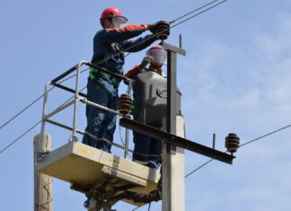 Энергетики укрепили сети для 220 тысяч ростовчан подготовка электросетей // фото: пресс-служба Правительства Ростовской области