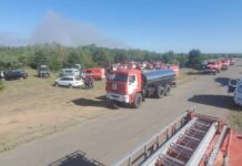 Площадь пожара в Каменском района выросла до 427 га