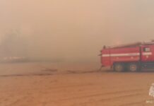 В Каменском лесничестве локализовали пожар пожар в Каменском лесничестве локализован // фото: пресс-служба МЧС по Ростовской области