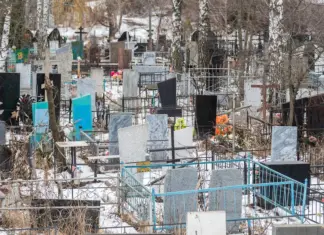 Показатель смертности в Ростовской области в 2025 году оказался выше показателя рождаемости