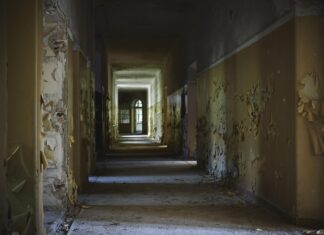 Работу УК проверили после жалоб жителей на улице Стабильной в Ростове //Фото:freepik.com
