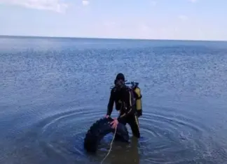До начала купального сезона спасатели Ростовской области приведут в порядок 50 пляжей