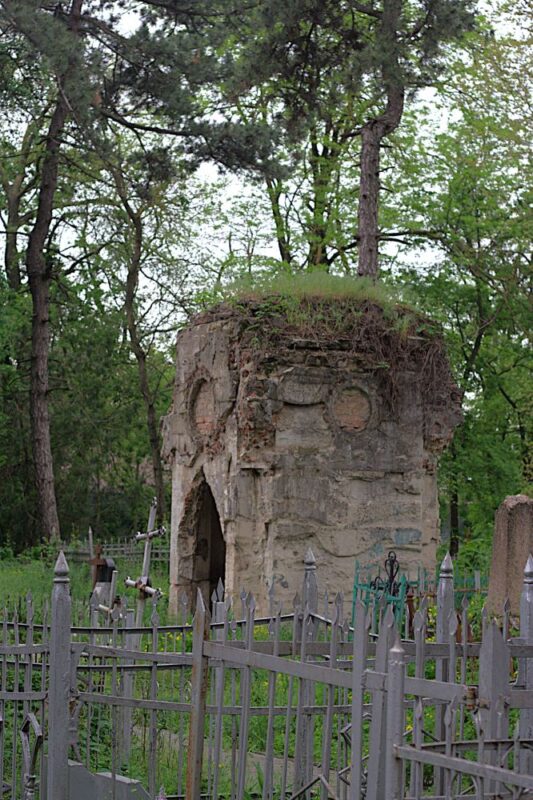 На старинном склепе трава как шапка волос //Фото Инна Лебедева, Городской репортер