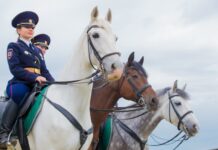 Ростовские улицы начала экспериментально патрулировать конная полиция Конная полиция //Фото пресс-службы ГУ МВД по Москве