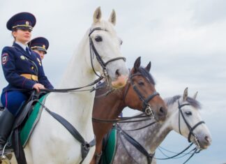 Ростовские улицы начала экспериментально патрулировать конная полиция Конная полиция //Фото пресс-службы ГУ МВД по Москве