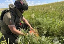 Ростовские пиротехники обезвредили 50-килограммовую авиабомбу времён войны в Волгограде